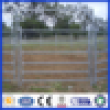 DM galvanized or PVC coated horse fence for factory
